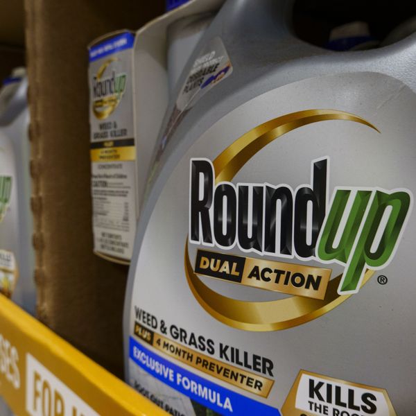 Roundup Weed And Grass Killer At Costco Wholesale