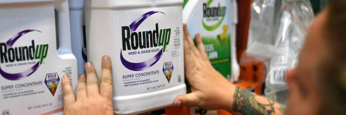 Roundup