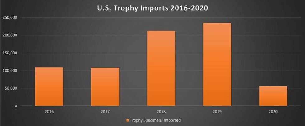 RSTrophy-imports-graph-tanya-sanerib-fpwc-scr