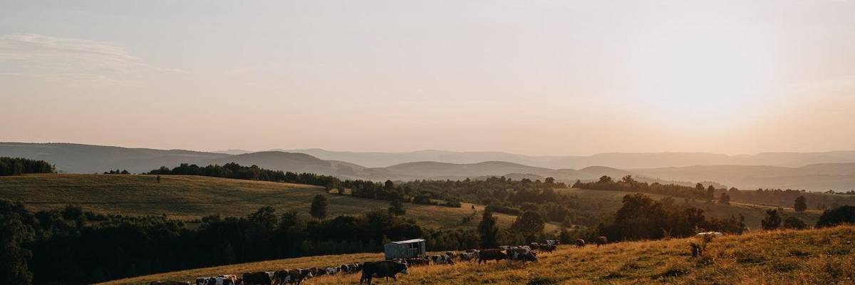 Biden's Agriculture Secretary: Heitkamp Is the Wrong Choice