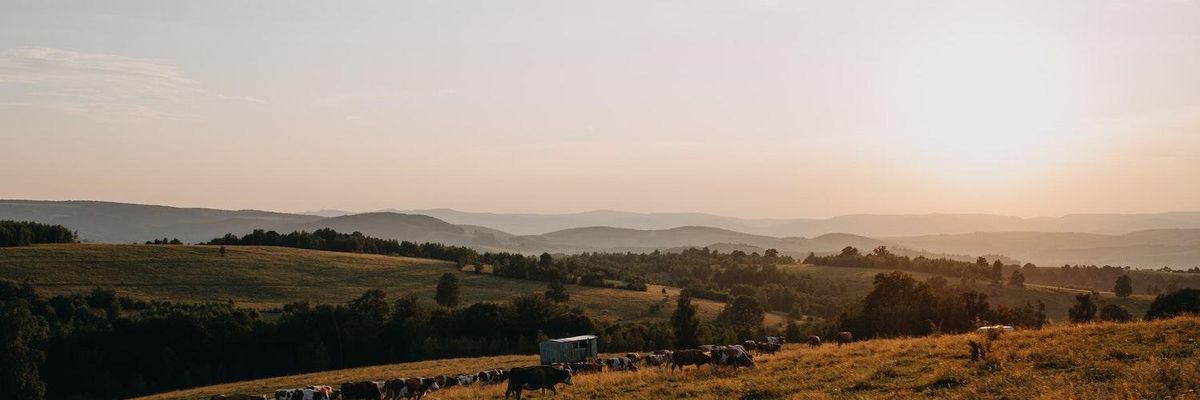 Biden's Agriculture Secretary: Heitkamp Is the Wrong Choice