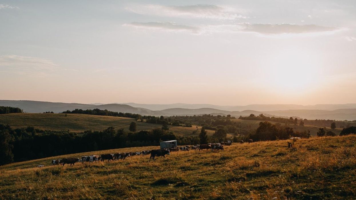 Biden's Agriculture Secretary: Heitkamp Is the Wrong Choice