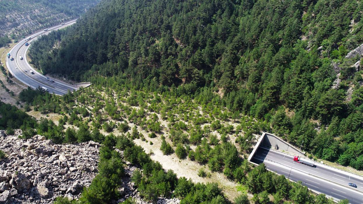 Safe passage route of wild animals in Turkey: Ecological bridges