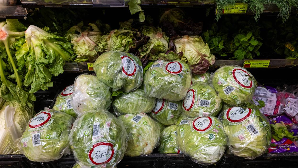 Corporate Consolidation Spree That Enabled 'Massive Reach' of Taylor Farms Blamed for Cyclospora Outbreak