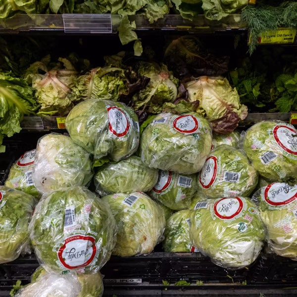 Corporate Consolidation Spree That Enabled 'Massive Reach' of Taylor Farms Blamed for Cyclospora Outbreak