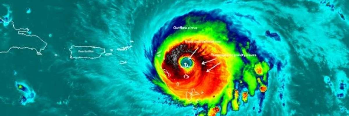 As Planet Rages With Fires and Storms, Ire Aimed at Murderous Climate Denialism