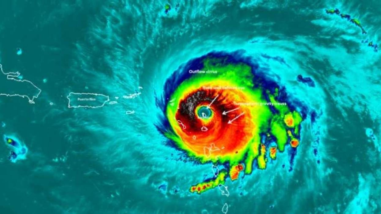 As Planet Rages With Fires and Storms, Ire Aimed at Murderous Climate Denialism