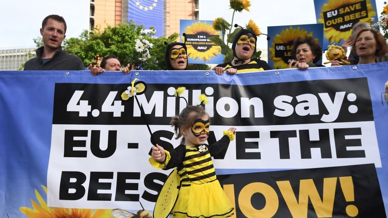 "Save the bees" protest with child dressed as a bee