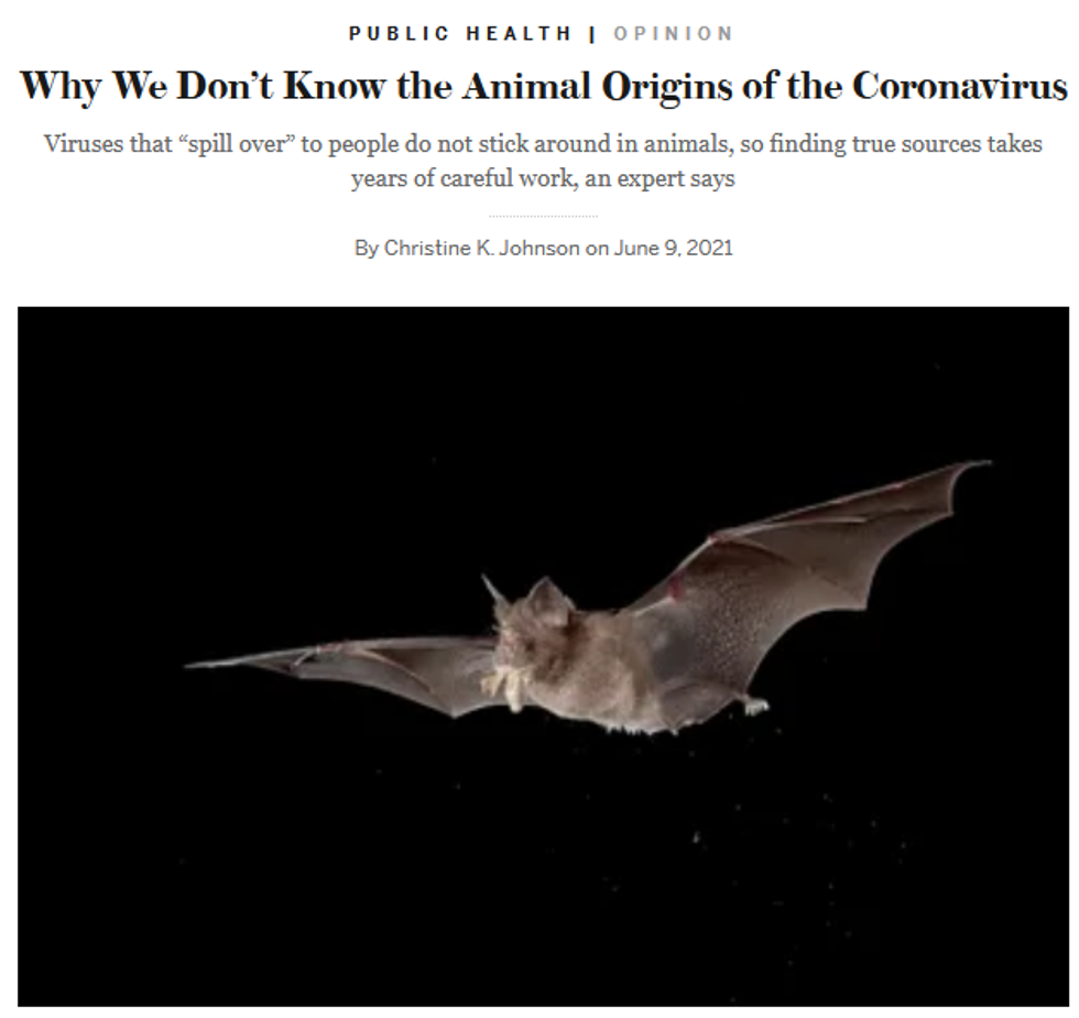 Scientific American: Why We Don't Know the Animal Origins of the Coronavirus