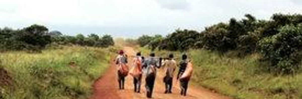 Groups to World Bank: Stop the Land Grabs!