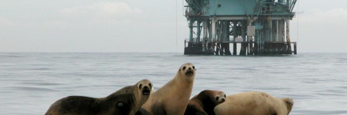 North America Failing Dismally on Ocean Protection, Groups Warn