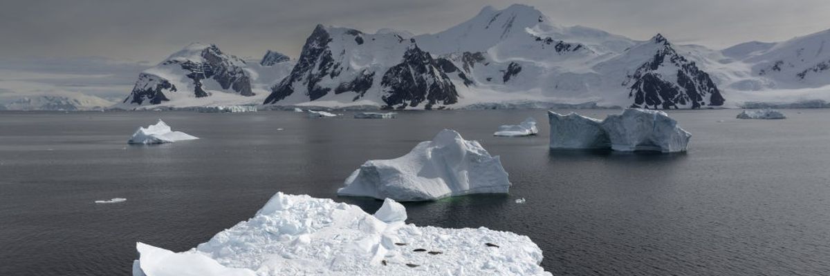 Seals rest on ice mass in Antarctica