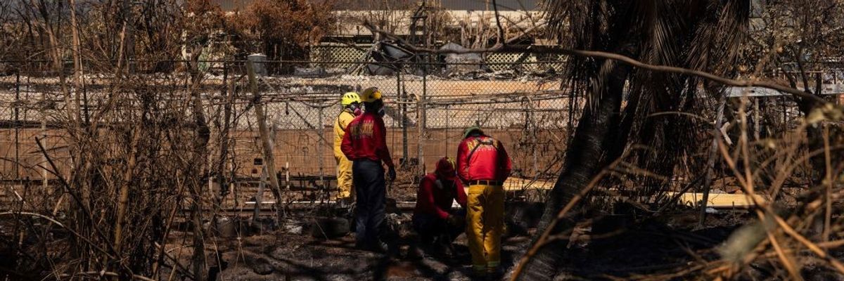Search and rescue workers in Maui.
