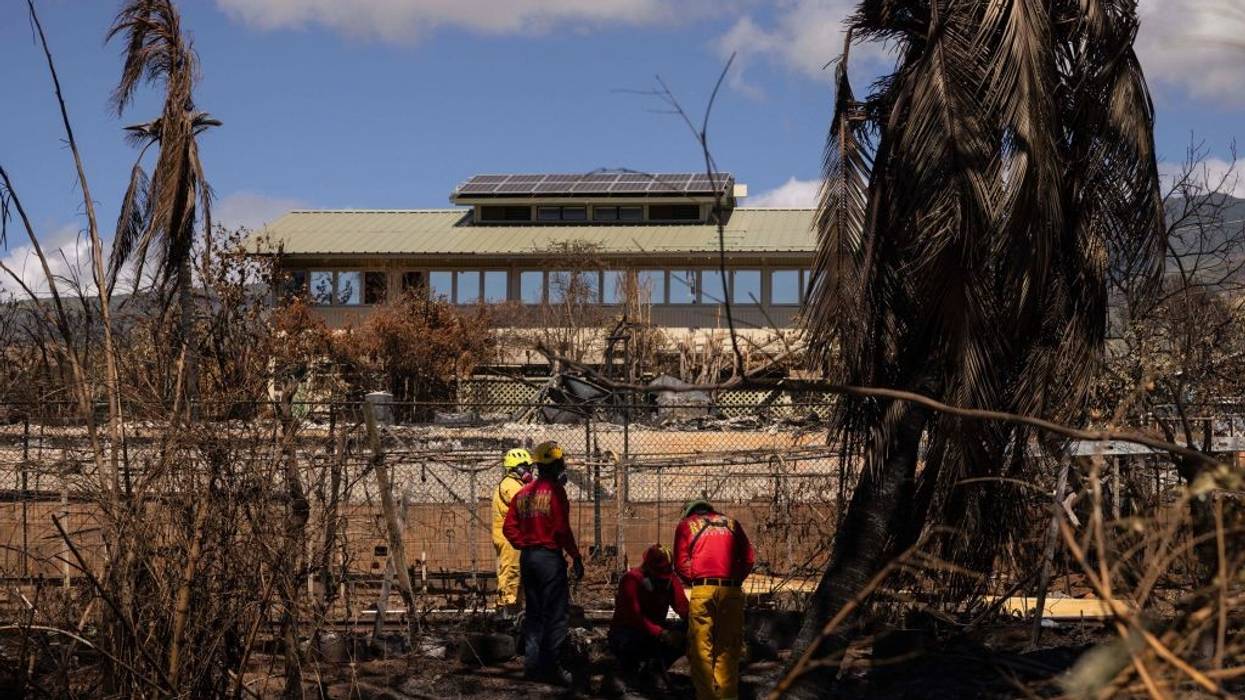 Search and rescue workers in Maui.