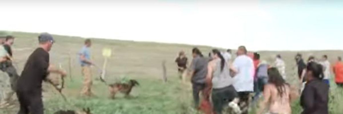 Dakota Access Pipeline Company Attacks Protesters With Dogs and Mace