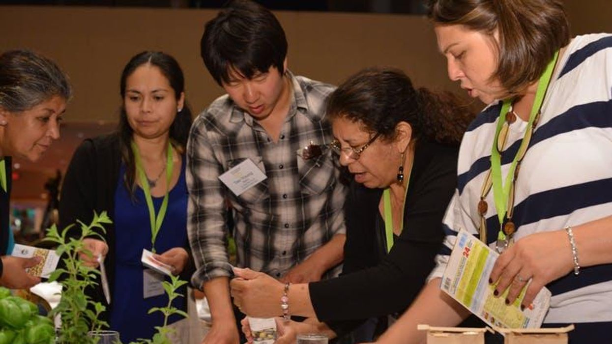 A Sharing Economy for Plants: Seed Libraries Are Sprouting Up