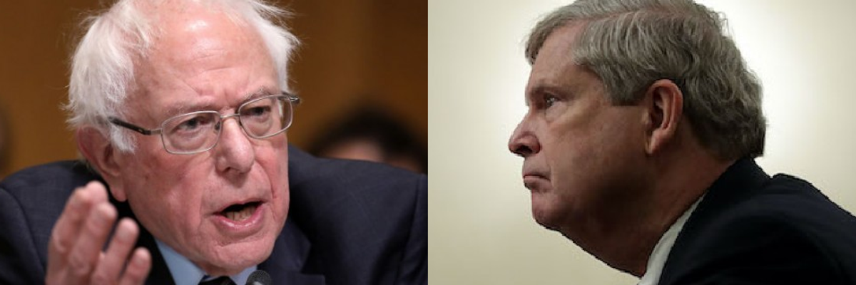 Citing Concerns About Corporate Power, Bernie Sanders Votes Against Biden's Choice for USDA Chief