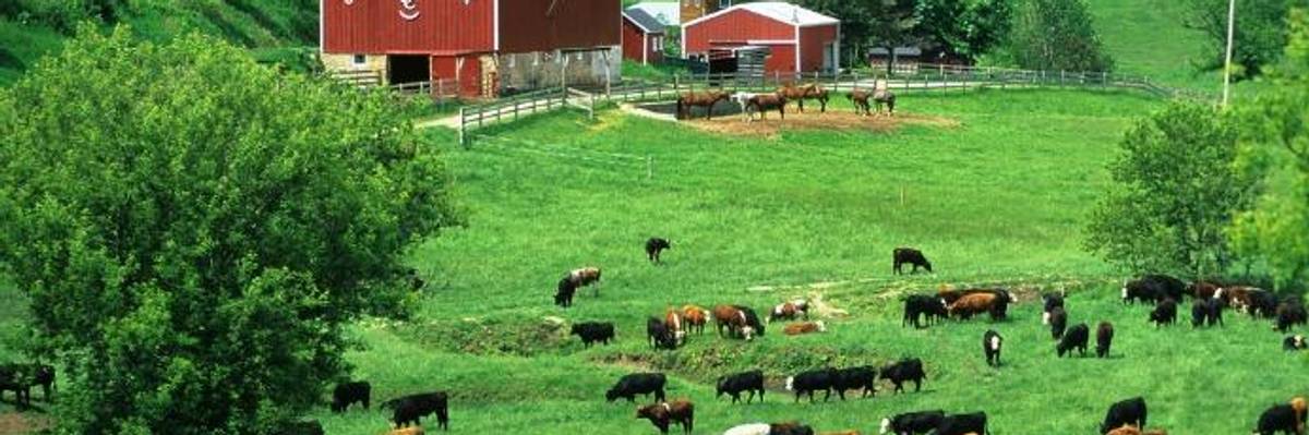 New 'Groundbreaking' Bill Would Put Firm Pause on Out-of-Control Food Industry Mega-Mergers