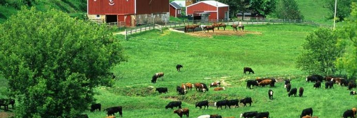 New 'Groundbreaking' Bill Would Put Firm Pause on Out-of-Control Food Industry Mega-Mergers