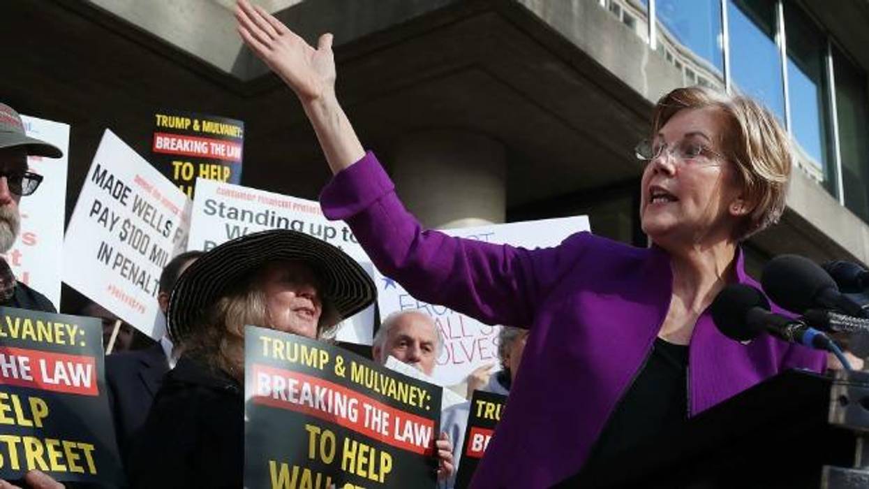 Sen. Elizabeth Warren (D-Mass.)