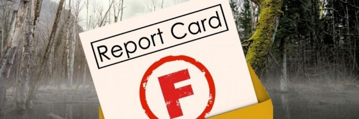 Warren Flunks Trump: Report Card Details Broken Promise to 'Drain Swamp'