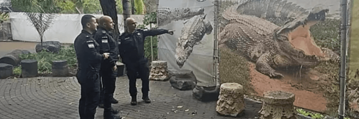 Senior Israeli police officials take a fact-finding tour of a crocodile farm in Hamat Gader