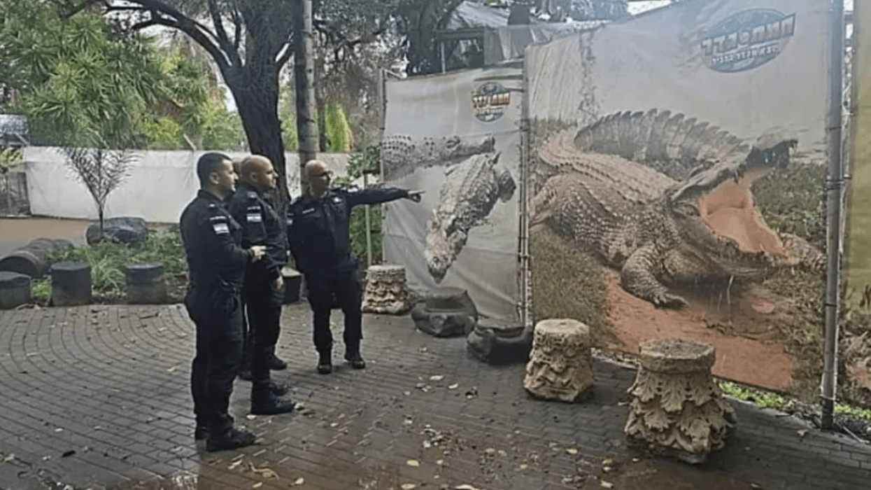 Senior Israeli police officials take a fact-finding tour of a crocodile farm in Hamat Gader