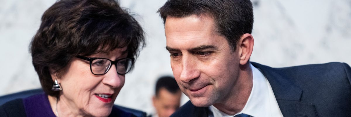 Sens. Tom Cotton and Susan Collins attend a hearing