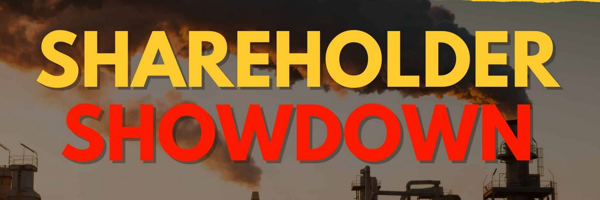 'Shareholder Showdown' graphic