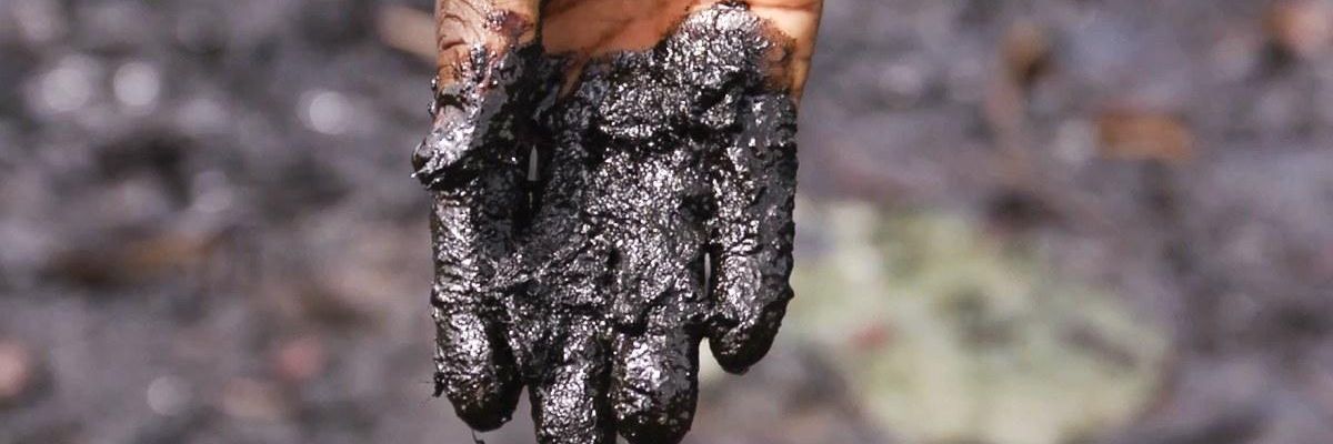 'Devastated Lives': Shell Sued Again over Catastrophic Spills in Nigeria