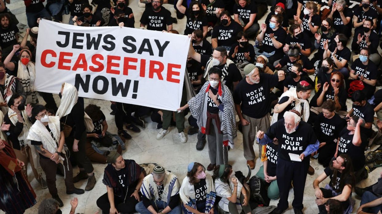 Sign during Capitol rotunda protest says "Jews Say Ceasefire Now"
