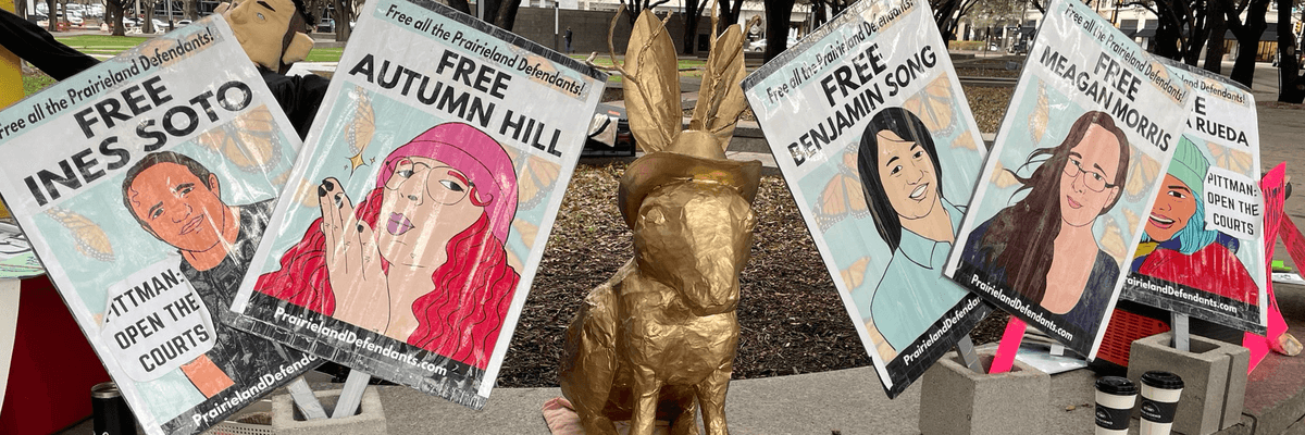 Signs call for the release of the Prairieland Detention Center protesters