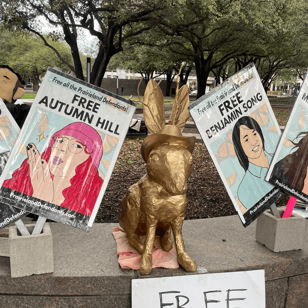 Signs call for the release of the Prairieland Detention Center protesters