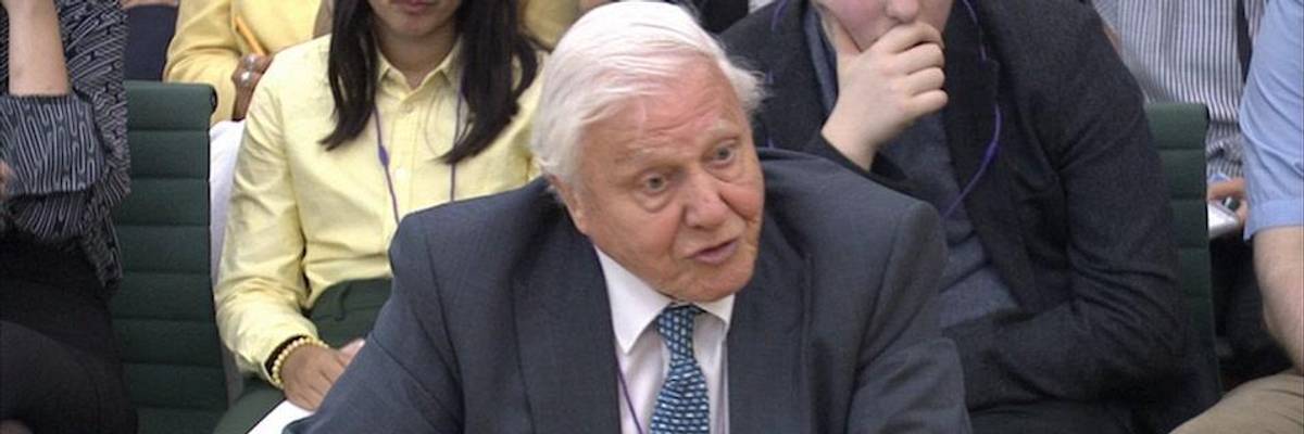 In Terms of Combating Climate Crisis, Renowned Naturalist David Attenborough Declares: 'We Cannot Be Radical Enough'