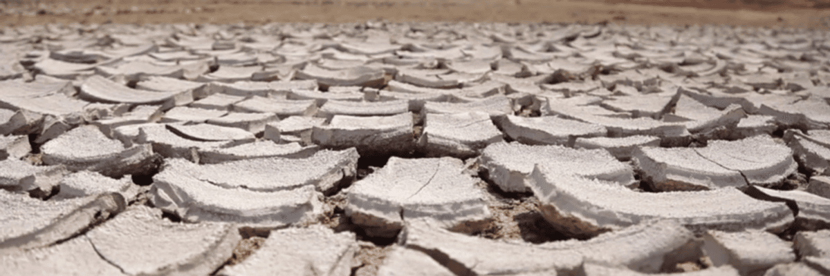 Attenborough Warns Humanity That 'Collapse of Civilizations and Extinction of Much of Natural World on the Horizon'