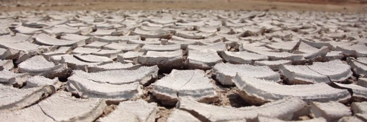 Attenborough Warns Humanity That 'Collapse of Civilizations and Extinction of Much of Natural World on the Horizon'