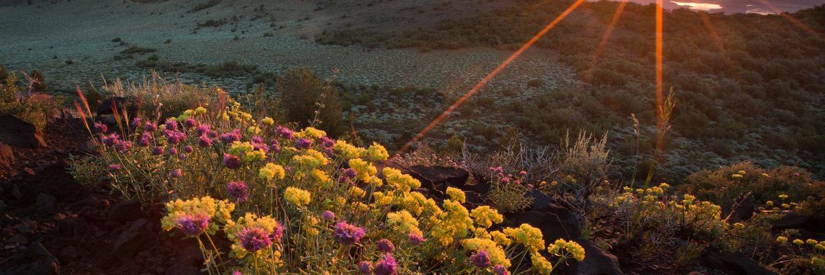 Hey Conservationists! Got Hope?