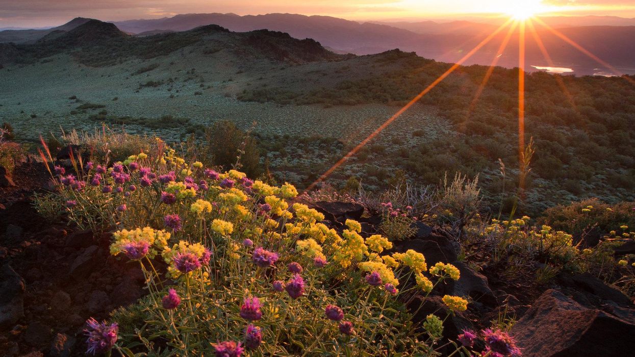 Hey Conservationists! Got Hope?