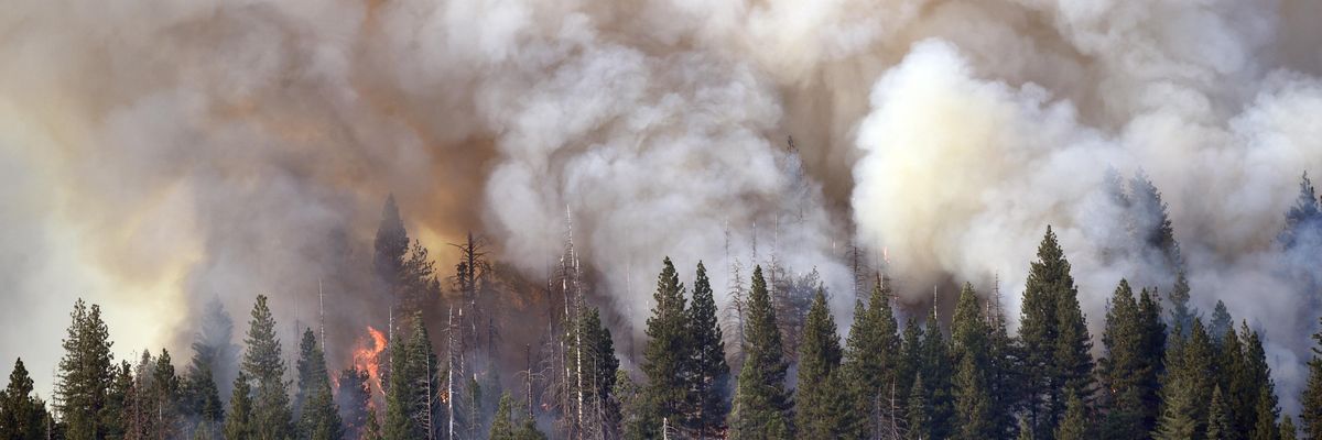Smoke and flames rise as the Washburn Fire burns around the Mariposa Grove of giant sequoias at Yosemite National Park in California on July 10, 2022.