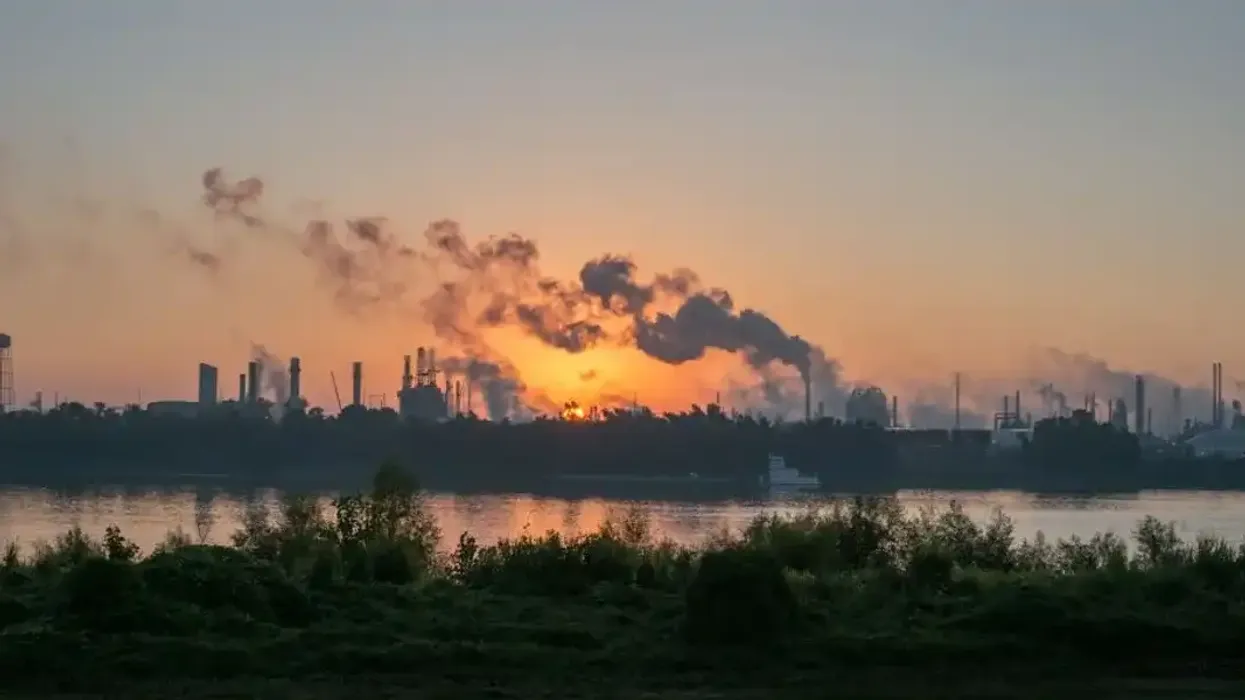 Lancet Study Warns Cancer Deaths Could Surge Nearly 75% by 2050