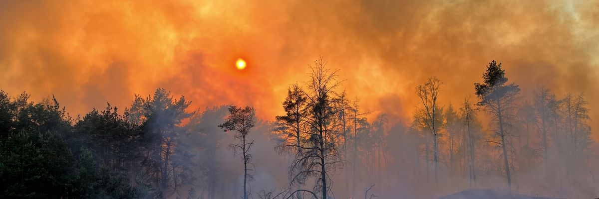 Smoke from a forest fire rises into the sky
