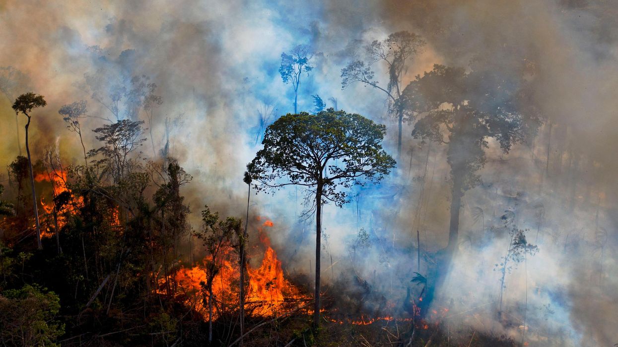 Smoke rises from an illegally lit fire in the Amazon rainforest reserve