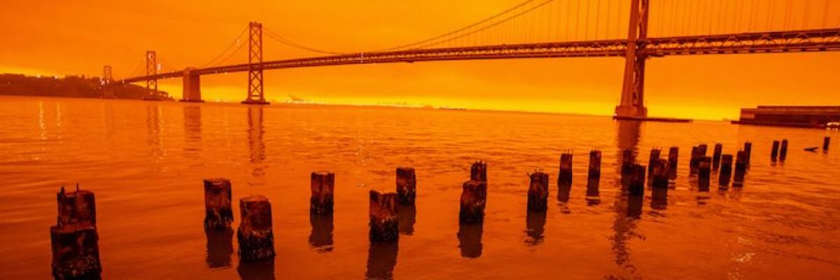 What If Preventing Collapse Isn't Profitable?