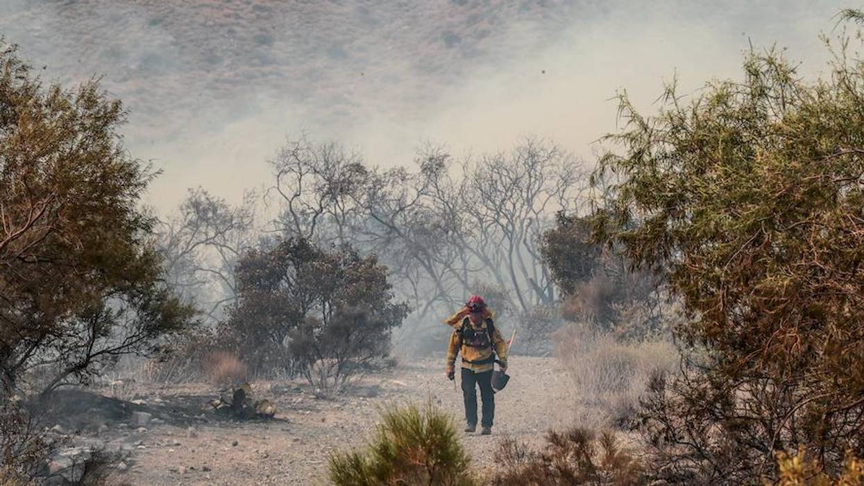Without Urgent Action, Study Warns, Climate Crisis Could Kill as Many People as All Infectious Diseases Combined by 2100