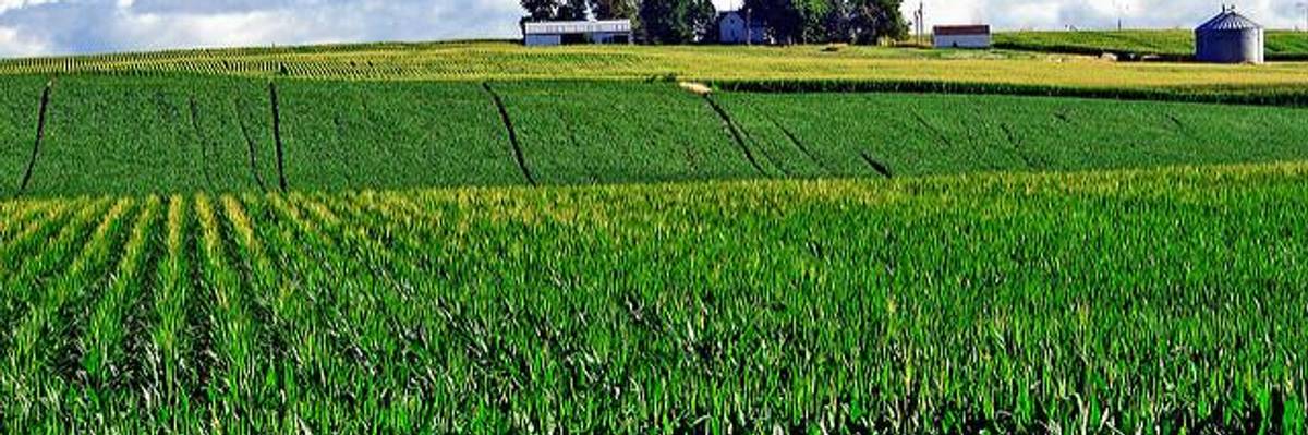 Inside the Pity-Our-Farmers Tax 'Reform' Scam