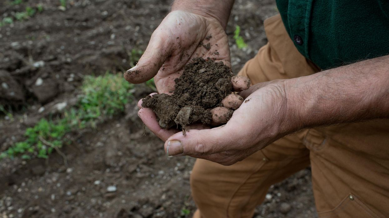 Soil