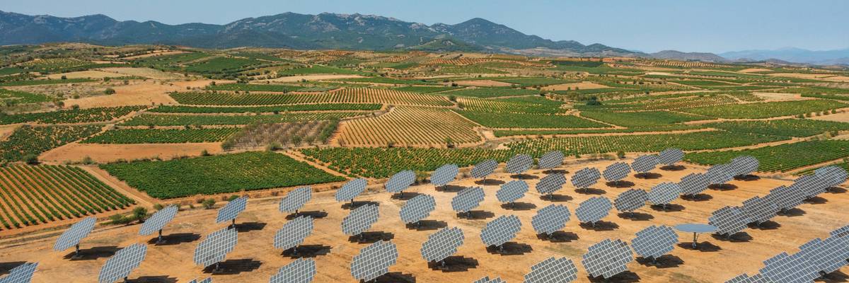 Solar panels are installed near vineyards in Spain.
