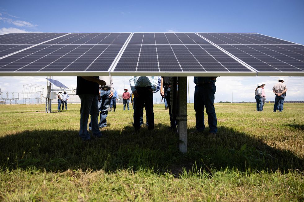 Despite Trump's Relentless Attack on Renewables, Solar Surpassed Coal Energy in US for First Time in May