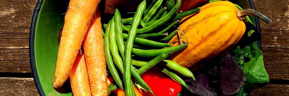 Not Wasting Food to Save the World