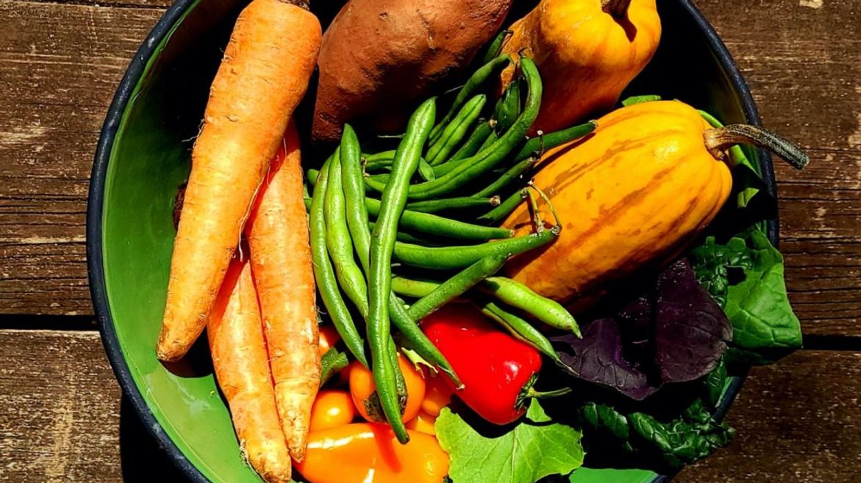 Not Wasting Food to Save the World